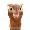 Head Circumference63cm Le