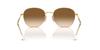 Sunglasses RB3809 ARISTA 55 [Ray-Ban]