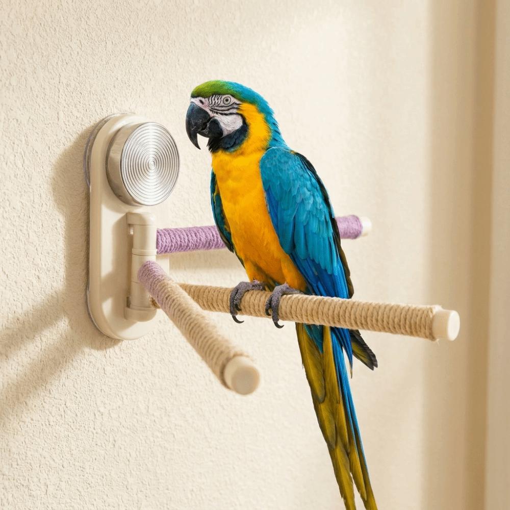 Wear-resistant Bird Standing Perch Toy Suction Cup Reptile Climbing Rack Birdcage Accessory