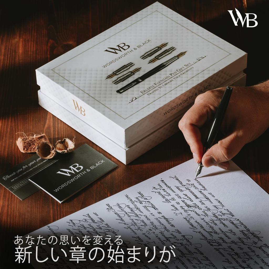Чернила для авторучки Wordsworth Black, подарочные, 6 стержней для чернил, 4 сменных пера, ручка Premium Smooth Writing Pen & Set, флакон, картриджи, конвертер, перья,