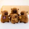 Capybara Basketball Plush Toy Cartoon Stuffed Animal Doll Room Decoration Gifts