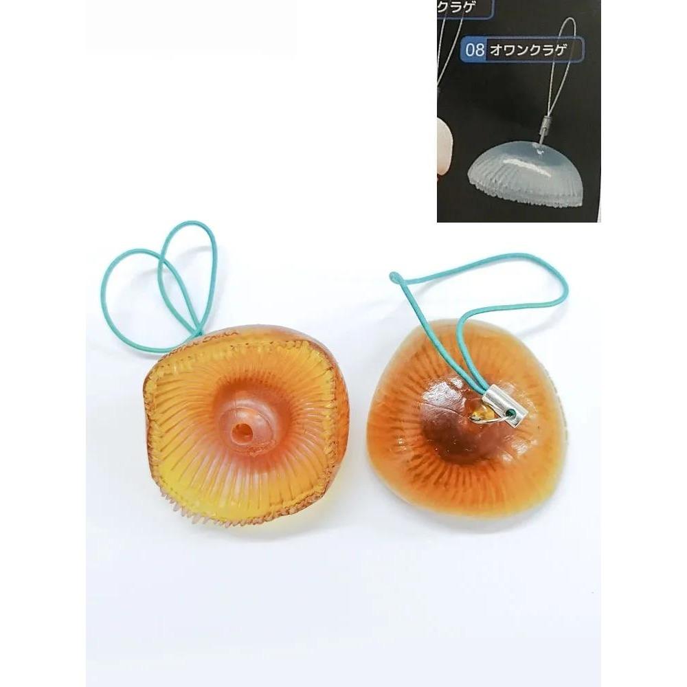 Брелок Медуза Капсульная Игрушка Симуляция Морского Организмы Модель Игрушка Стереограмма Гача Подвески Подарки