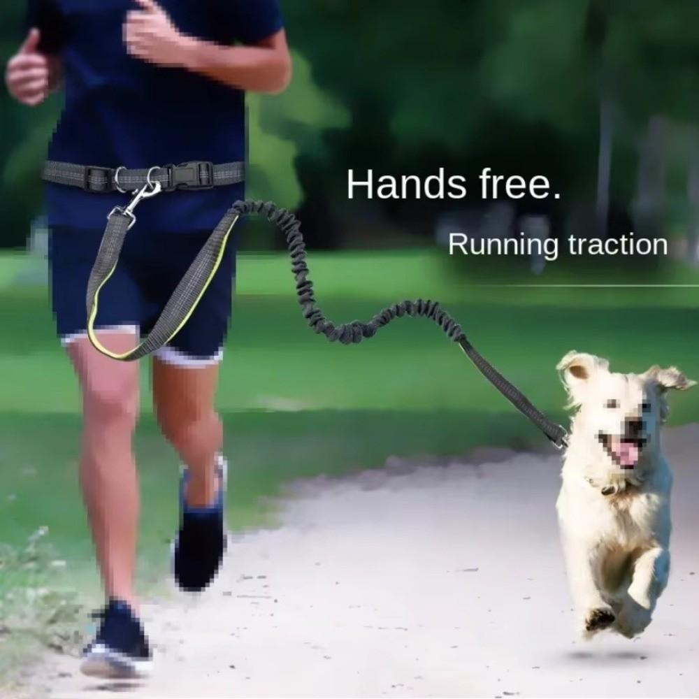 Waist Belt Running Dog Leash Reflective Dog Traction Rope Pet Walking Leash Pet Walking