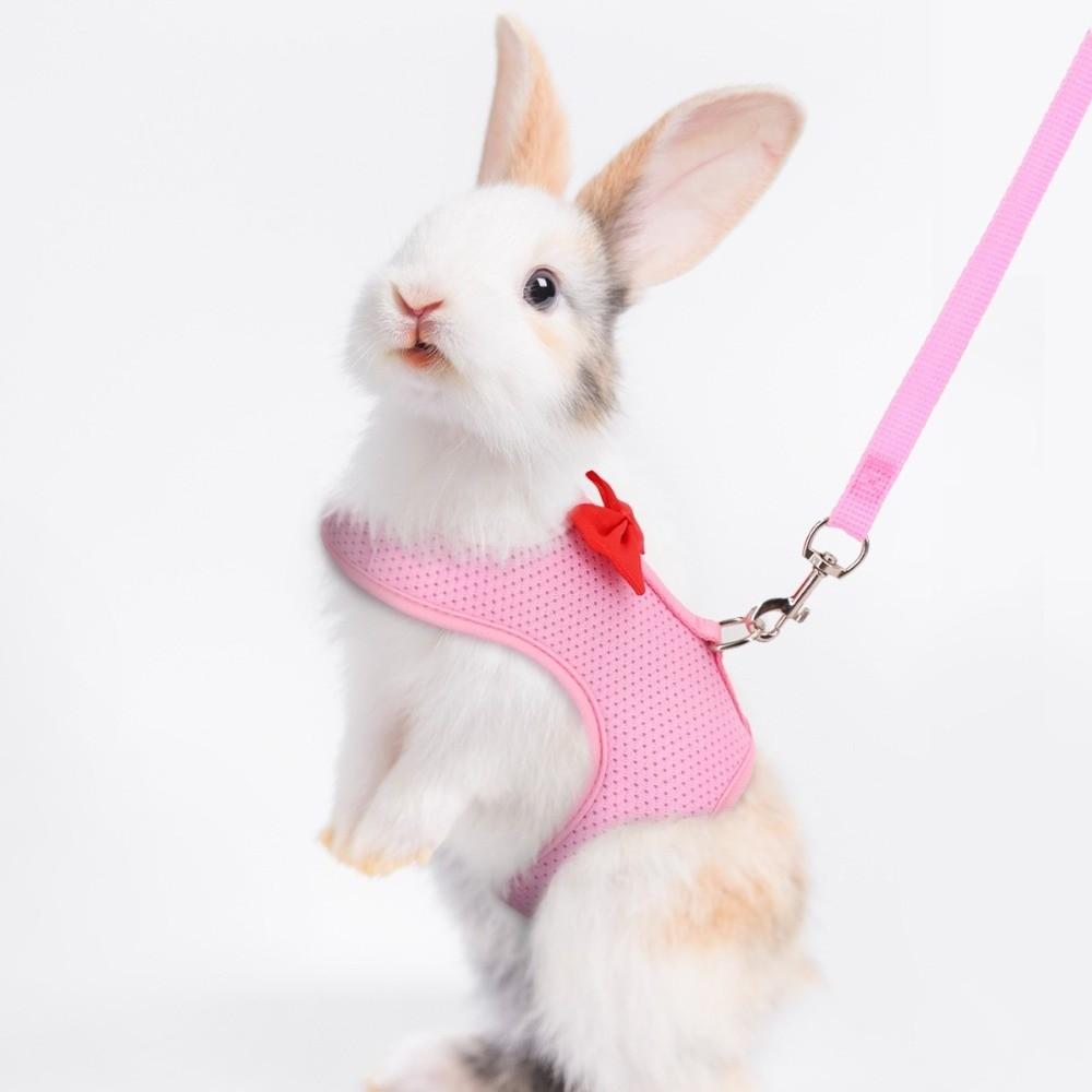 Polyester Rabbit Harness Vest Breathable Pet Walking Leash New Bunny Harness Leash Small Pets Use