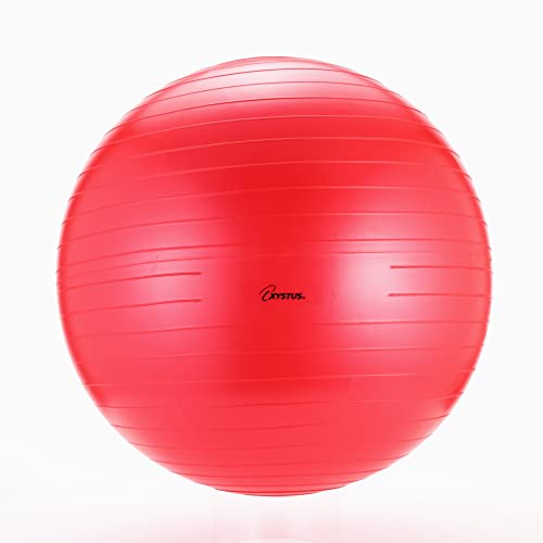 TOEI LIGHT Body Ball 55 H7261