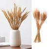 50pcs Rustic Dry Wheat Spikes Natural Dried Flowers Dried Wheat Stalks  Christmas Decoration