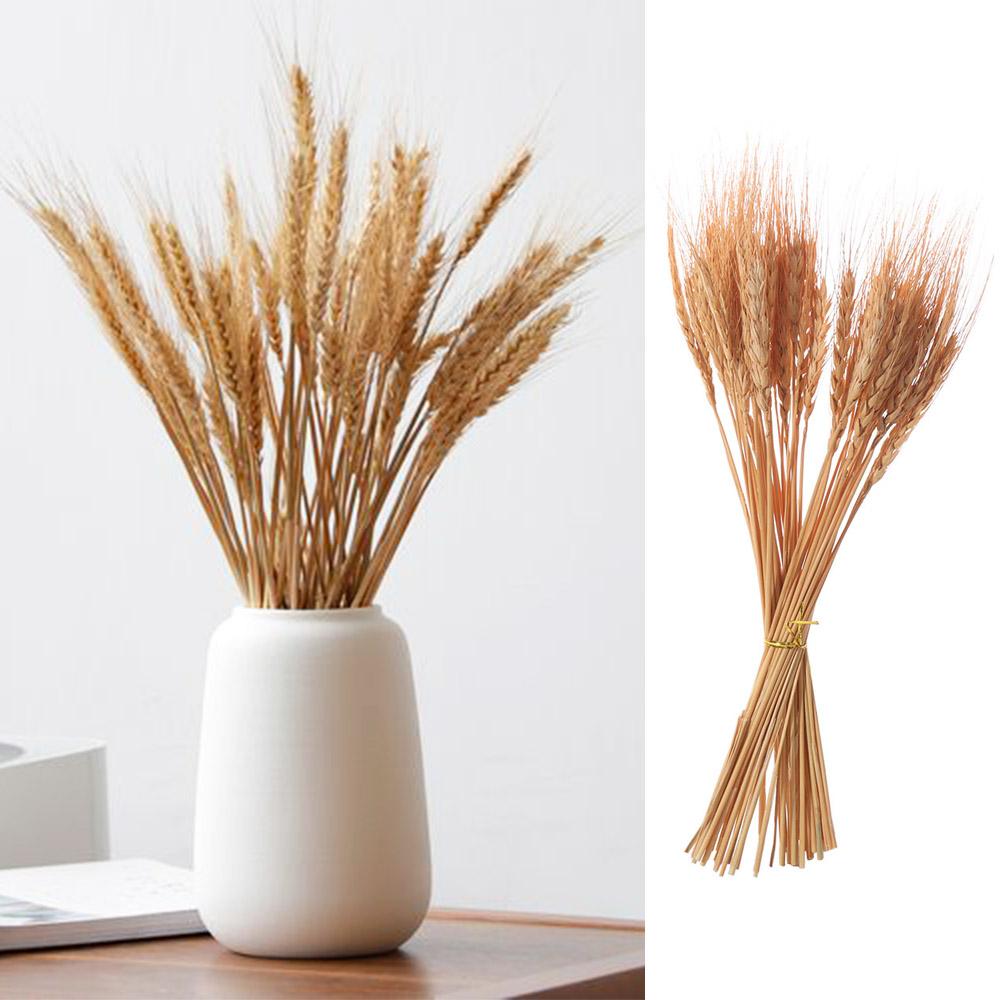 50pcs Rustic Dried Wheat Stalks Natural Dried Flowers Dry Wheat Spikes Holiday Festival Decoration