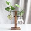 Hydroponic Planter Bulb Glass Plant Propagation Station Hydroponic Plant Vase for Home Office Decoration Plant Lover Gifts