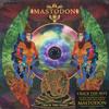 Виниловая пластинка MASTODON  Crack The Skye 2077429 REPRISE 2009 Не Япония Метал