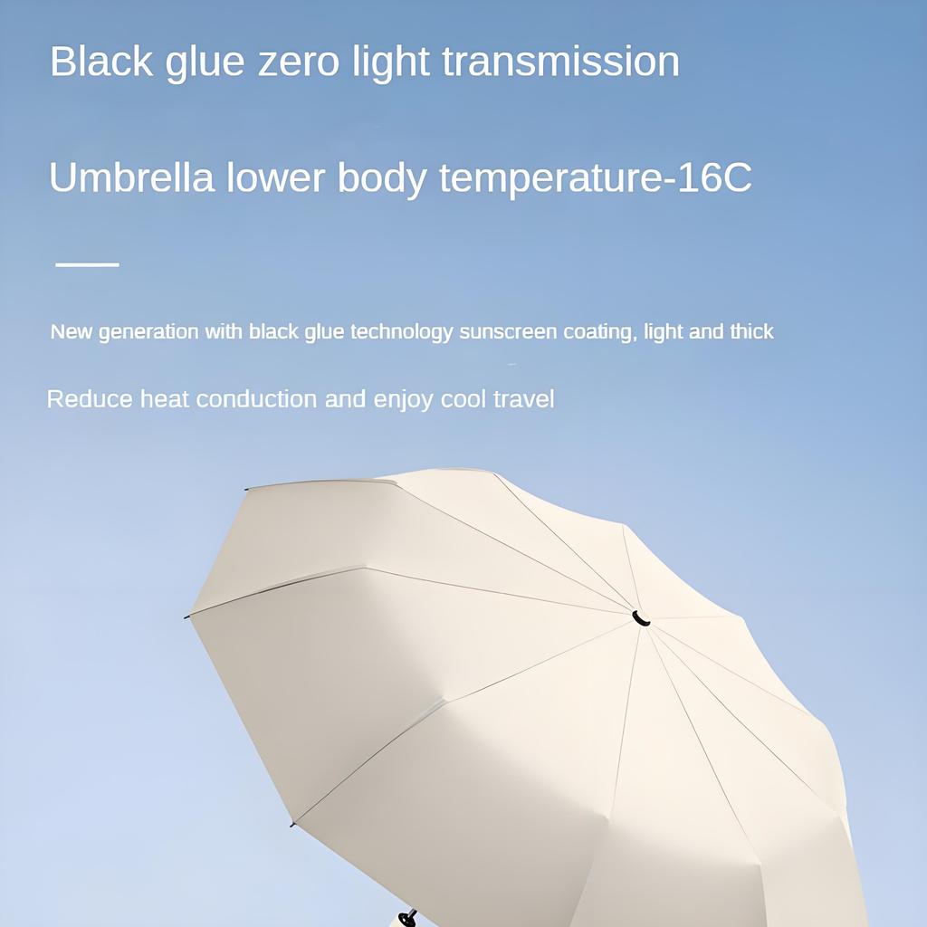 10-Rib Windproof Reverse Umbrella with Carabiner, Reflective Stripe for Rain & Sun Protection (Auto Fold)