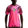 Dri-Fit Сезон 2026 Команда Нигерии Вратарская Фан-версия Быстросохнущая Короткий рукав Футбольная футболка Мужские топы IB5313-645