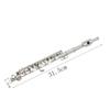 Cryfokt 16-hole Piccolo, Educational Wind Instrument for Band Performances for Beginners (silver), CRYFOKTTQK76I30GA-02