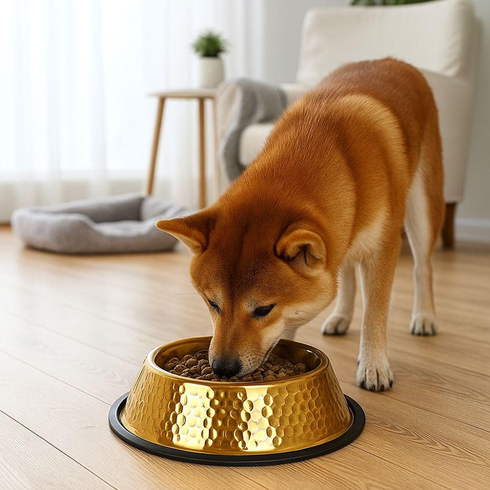 Stainless Steel Pet Feeding Bowl Gold Plated Cat Food Dish Dog Water Food Bowl  for Feeding