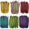 10Pcs Colorful Natural Female Pheasant Feathers for Decoration Crafts Long Chicken Feather Decor Carnival Accessories Decoration
