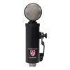 Lauten Audio Front Address Large Diaphragm Condenser Microphone LS-308