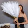20 шт. Искусственная пампасная трава, 21,6" Короткая искусственная помпезная трава Флористические искусственные ветки пампасной травы Наполнитель для вазы Цветочная композиция