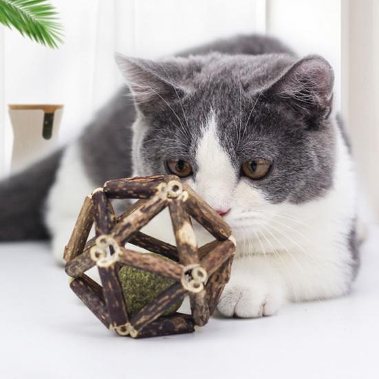 Catnip Wood Ball Toy Natural Silvervine Stick Cage Ball with Catnip Ball Kitten Teeth Cleaning Molar Toy for Indoor Cats