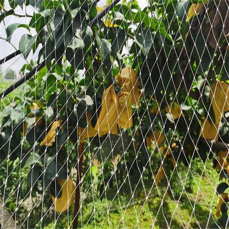 5м 10м 20м Сетка для защиты сада от птиц Сетка для защиты сада от птиц Сетка для защиты сада Сетка для защиты садового пруда с рыбой