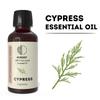 Cypress 100% Pure Essential Oil Heals Wounds & Infections Relieves Anziety