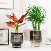 Creative Self-Absorbent Transparent Water Culture Pot Small Potted Plant Ware Office Decoration