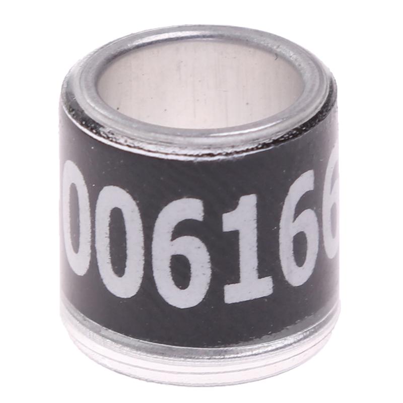 20 шт. Кольцо в виде лапки голубя с серьгами в виде слов 2021 Многоцветные инструменты для птиц