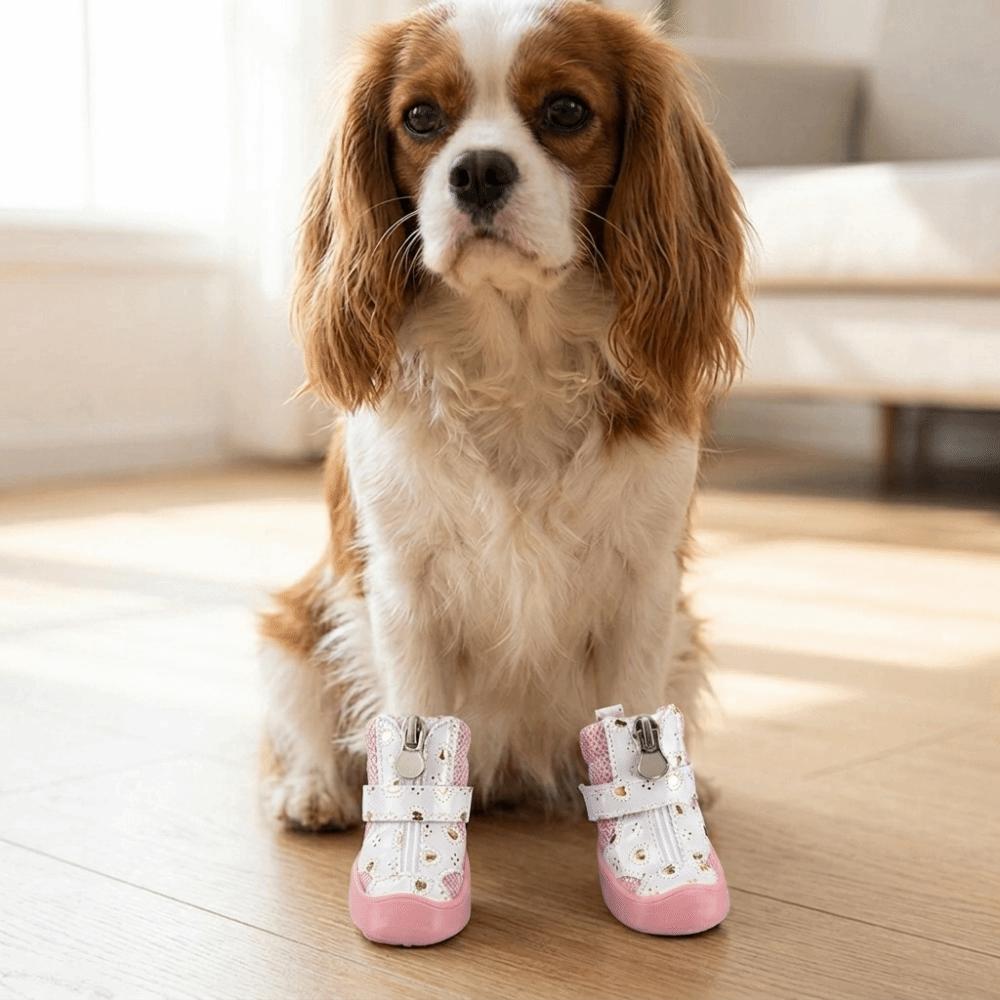 4Pcs Anti-Slip Sole Mesh Dog Shoes Golden Mesh Anti-Slip Dog Booties  Outdoor Walking