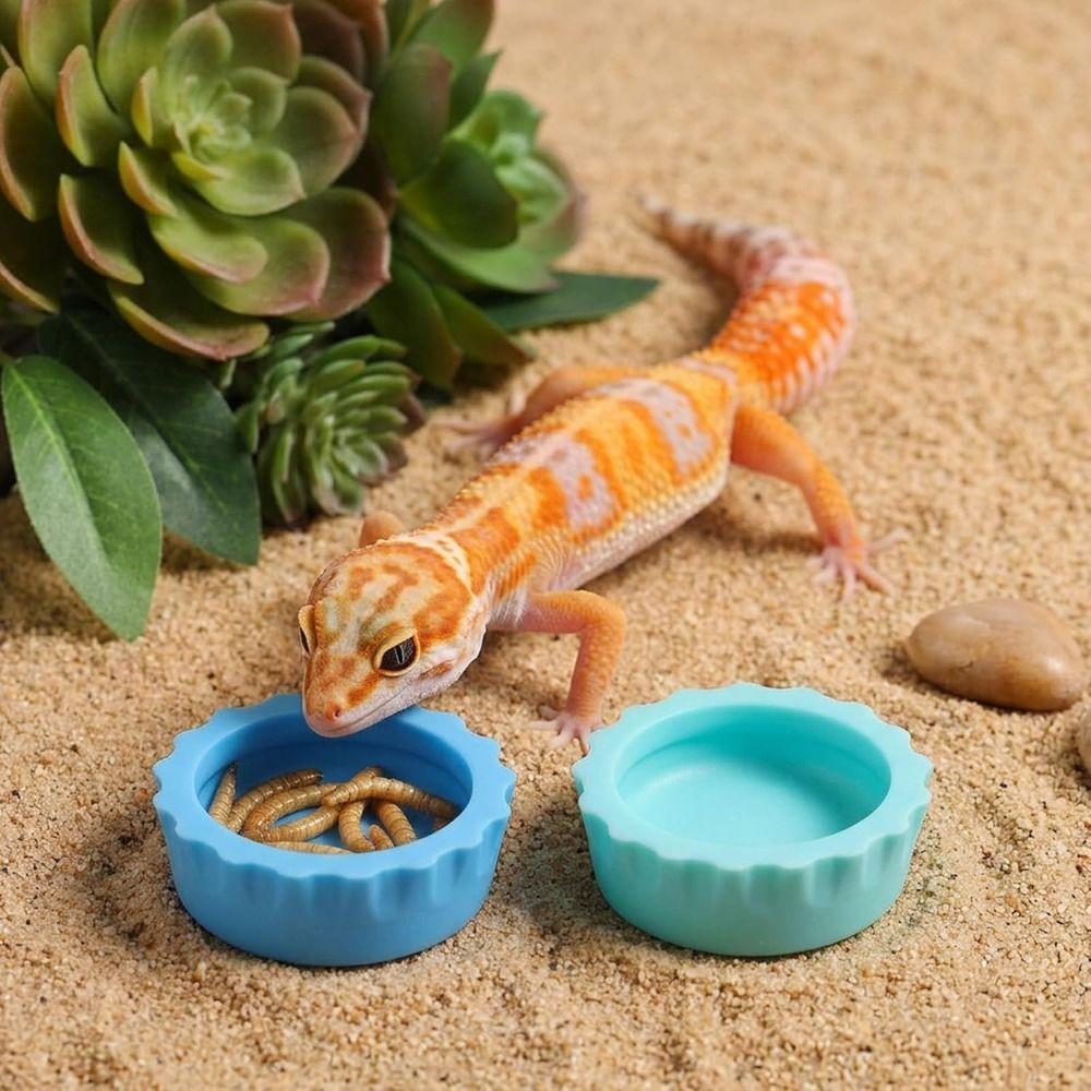 6pcs Silicone Feeding Dish Reusable Gecko Feeding Cups BPA Free Small Reptile Bowl Pet Supplies