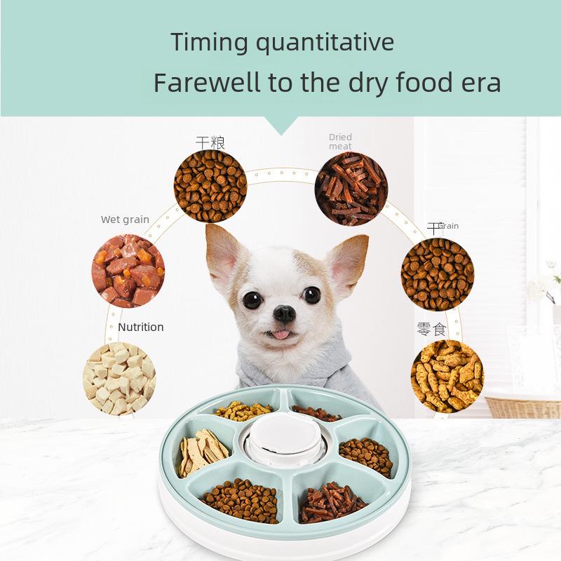 «Умная кормушка для домашних животных с шестью отверстиями»: «Автоматическое кормление по времени для кошек и собак»