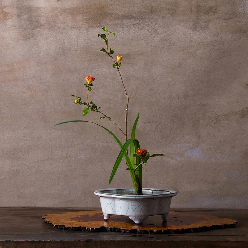 Ru Kiln Celadon Ceramic Vessel Zen Narcissus Pot Chinese Antique Sword Mountain Hydroponic Design