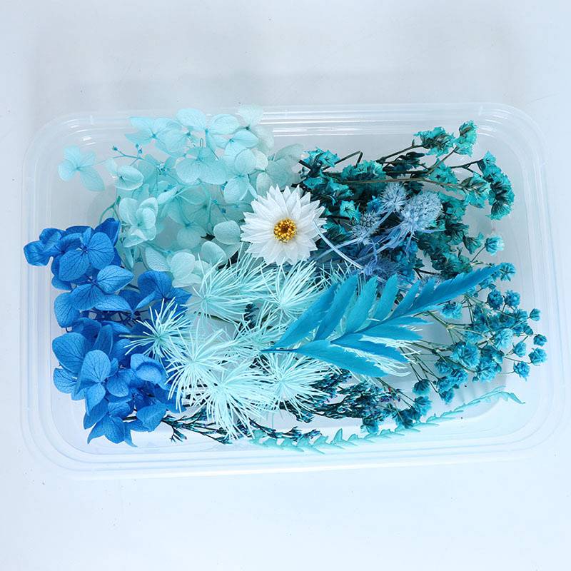 Preserved Fresh Flower Rabbit Tail Grass Dried Flower Hydrangea Dried Christmas DIY Material Package