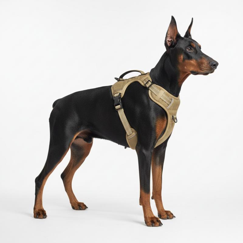 Шлейка с одним карманом для крупных собак (Коричневый XL)