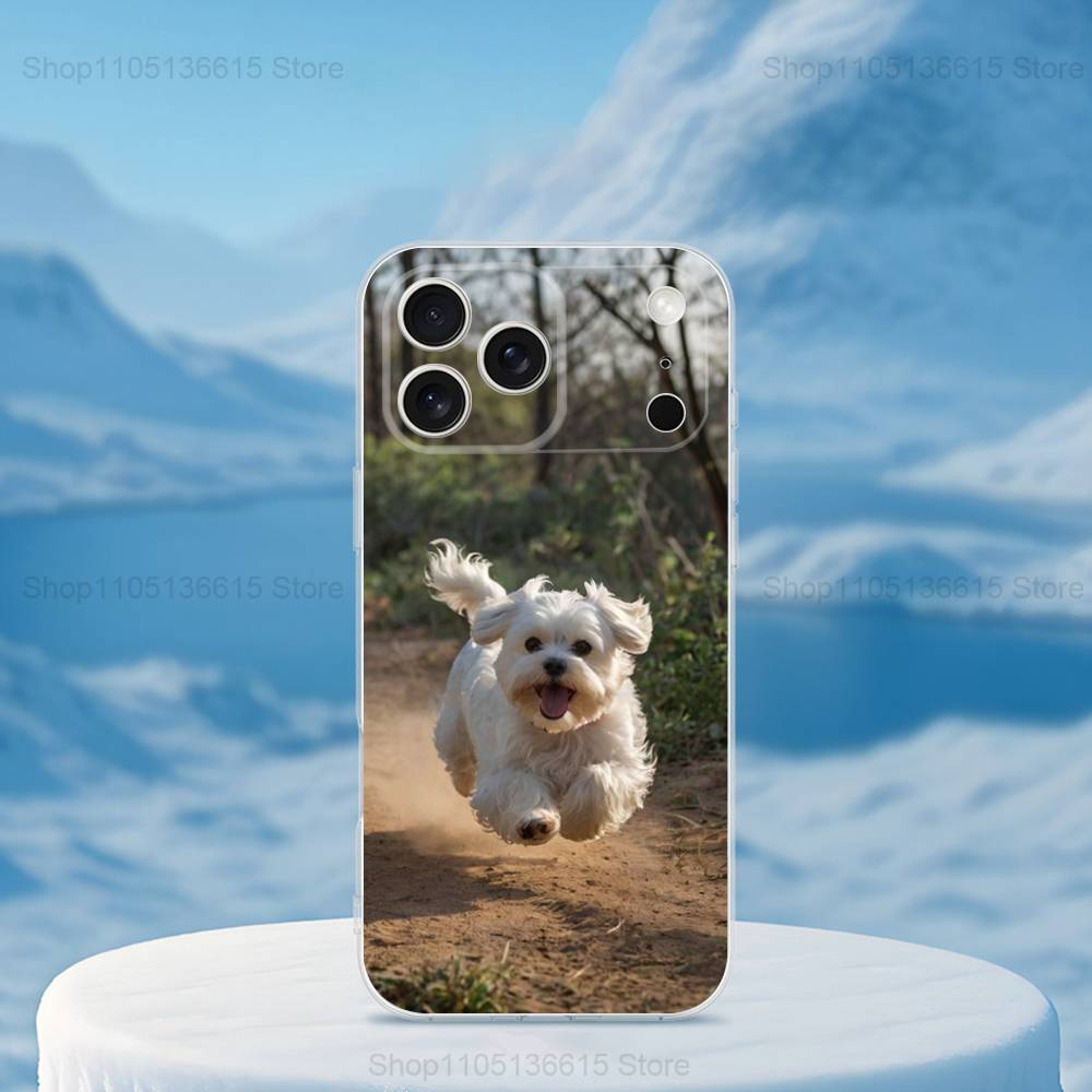 Cute animal Maltese Dogs Phone Case For iPhone,14,13,XR,SE,12,15,Pro,Max,Plus,11,17,16,X,XS,Mini Transparent Soft Cover