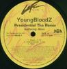 12-дюймовая пластинка YOUNGBLOODZ, AKON - Presidential (Tha Remix) 82876748221 LaFace Records 2005 США Рэп и хип-хоп/R&B Б/у