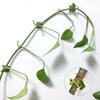 50-10PCS Plant Climbing Wall Self-Adhesive Fixed Buckle Hook Fastener Tied Fixture Buckle Garden Plant Wall Climbing Vine Clips