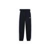 Side Color Blocked Fleece Cuffed Sweatpants Men Bottoms Black AKLRF33-1