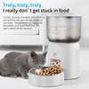 WiFi-Controlled Smart Pet Feeder 3L Automatic Cat Food Dispenser Eco-Friendly Stainless Steel Remote Camera Plastic
