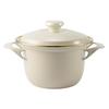 Fuji Enamel EX 16cm Cocotte, Greige