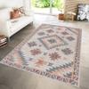 Washable Printed Carpet LNA1231