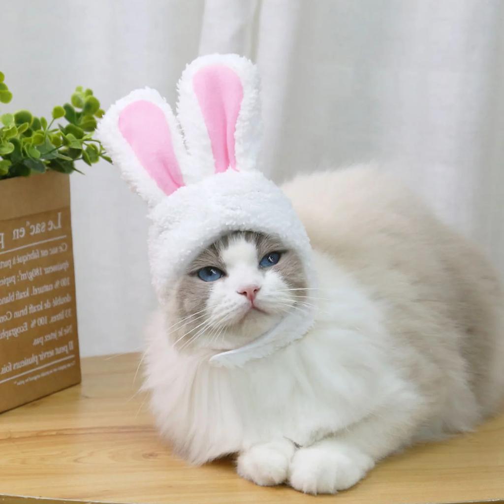 Головной убор для кошки, милый питомец, собака, кошачья шапка, кроличьи ушки, шапки для кошек, детский кролик, косплей, реквизит, кроличьи ушки, головной убор для питомца, аксессуары для кошек