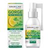 GRANIONS SPRAY GORGE -Toux et Mal de Gorge - Sans Alcool - Action Apaisante et Protectrice - Dispositif Médical - Goût Menthe-Citron
