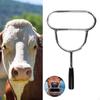 Cow Mouth Opener Animals Gag Efficient Comfortable Handle, Practical for Animal Husbandry Wear