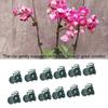 Set Of 100 Plant Fix Clip Orchid Stem Vine Support Flowers Tied Branch Clamping