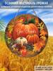 Garden Decorations,autumn Harvest Festival Decorations,wooden Hanging Decorative Signs,"give Thanks"logo, Pumpkin pattern,2D Flat Products