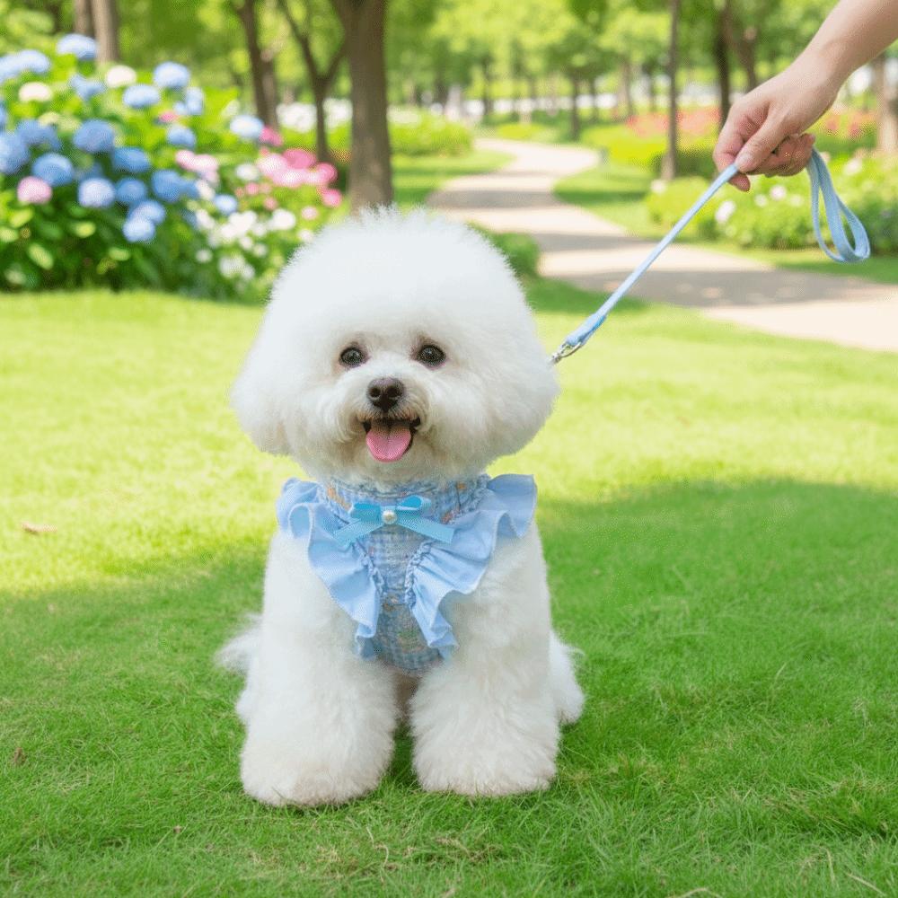 Adjustable Dog Harness and Leash Breathable Cat Harness Vest No Pull Pet Walking Rope  Pet Supplies