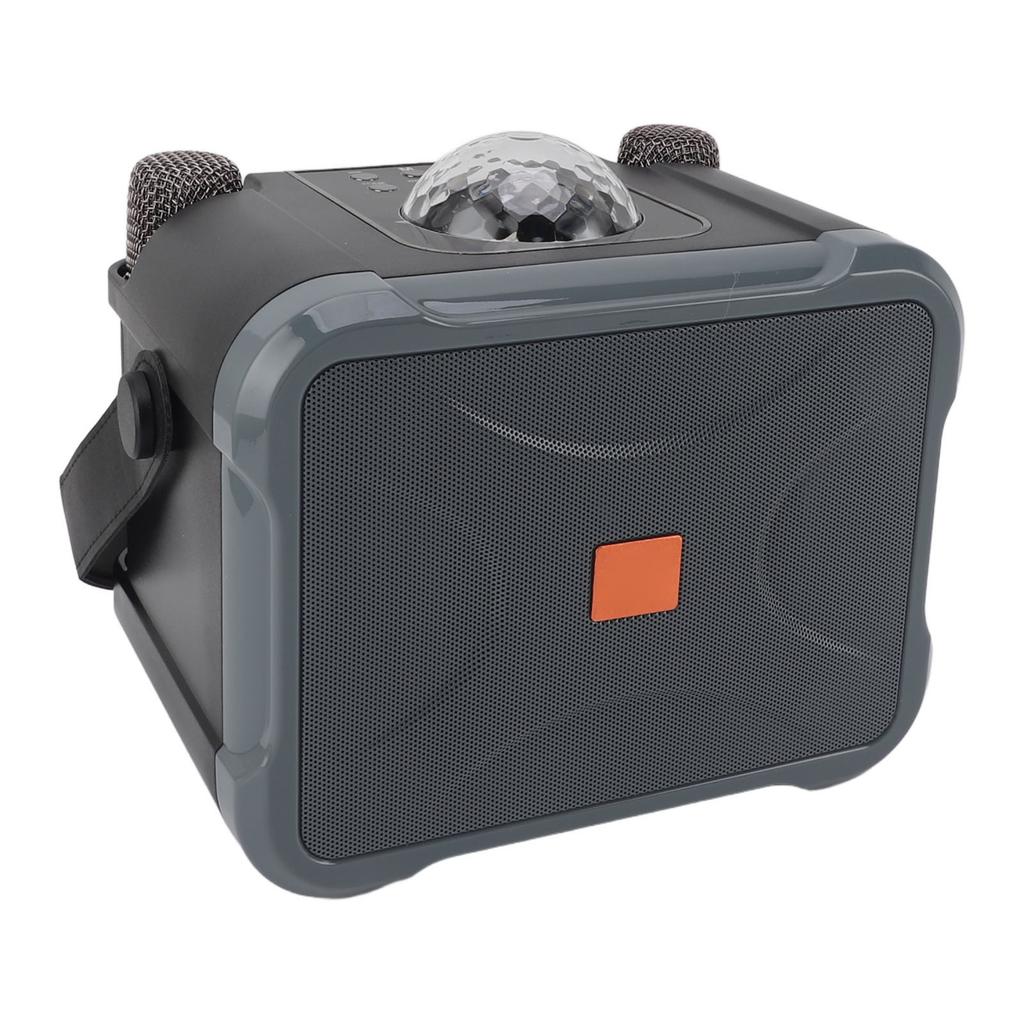 Беспроводной Bluetooth-динамик с чистым звуком, портативный ручной караоке-аппарат с двумя микрофонами для взрослых и детей