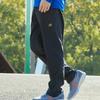 Мужские длинные брюки New Balance Core Stretch Woven в цвете Wind PGM, размер XL (MP81886) (Пигмент),