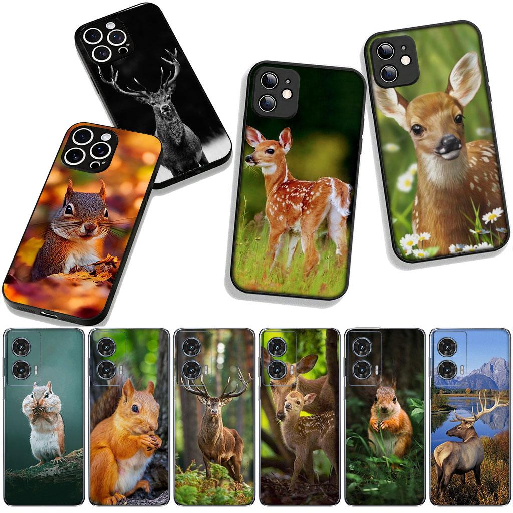 Cover for Xiaomi Redmi Note 15 11 9 10 Pro Plus A5 9A 9T 10A 10C 9C NFC 15C 8T Phone Case Sika Deer Squirrel