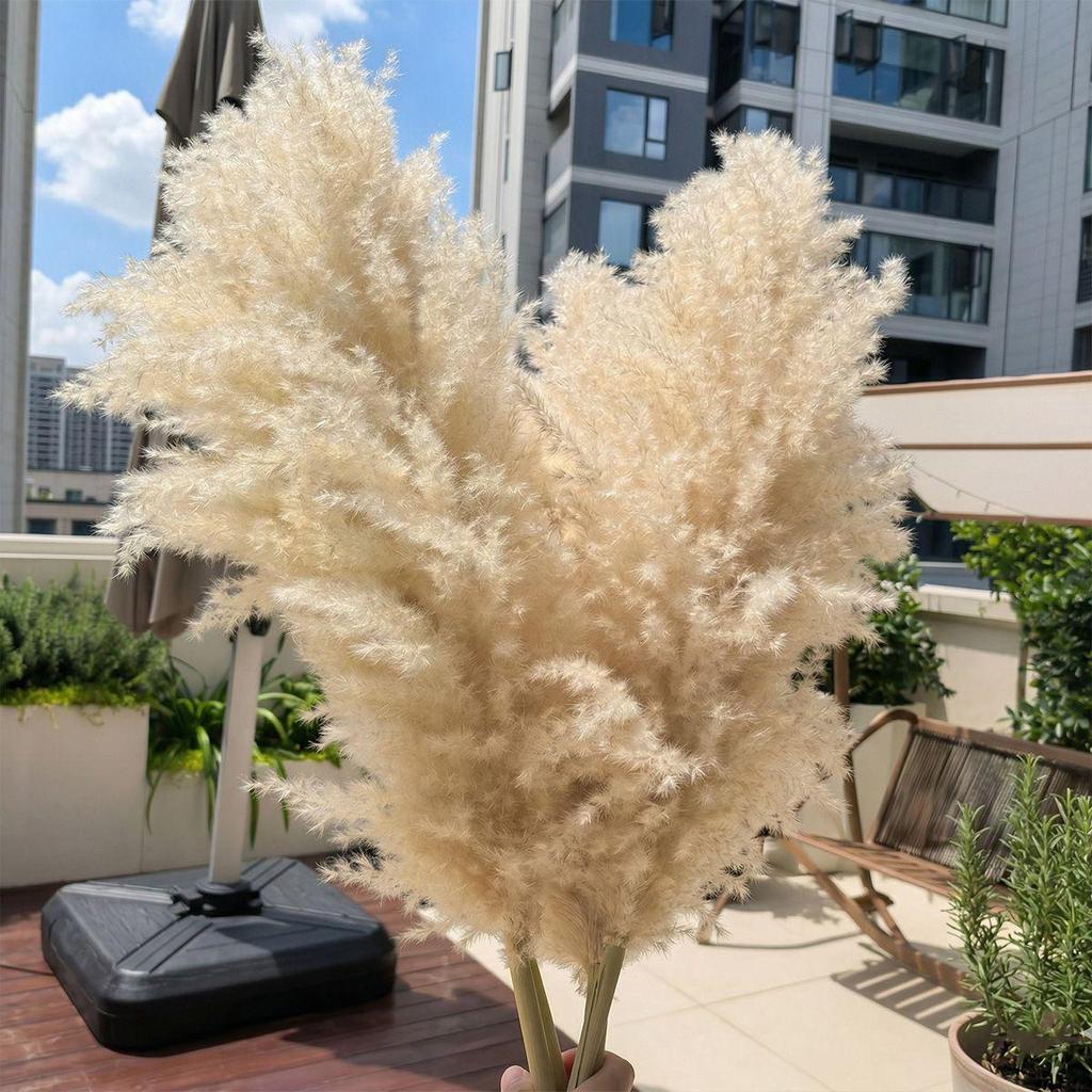 Reed Grass Natural Dried Flowers - Home Decor Preserved Ornaments