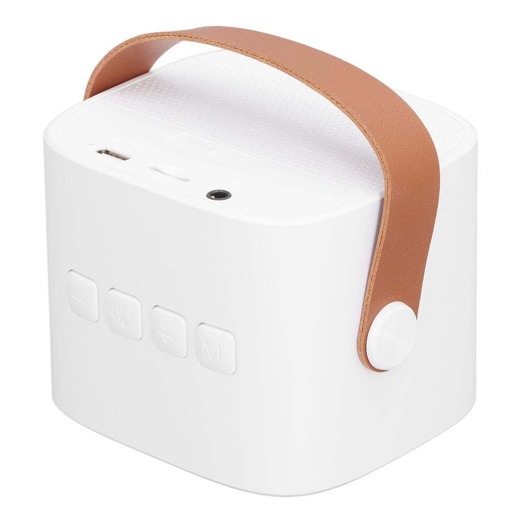 Детская караоке-машина Портативная Универсальная Долговечная Двойной микрофон Bluetooth-динамик для вечеринки