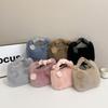 New Trendy Handbag Fashionable Texture Plush Messenger Bag Autumn and Winter Simple Niche Chain Handbag Women